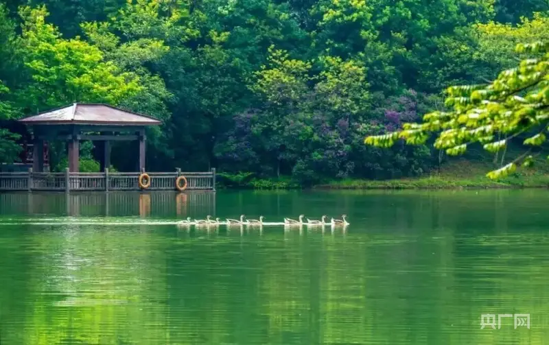 _田园风光旅游_赤水河谷旅游公路元旦