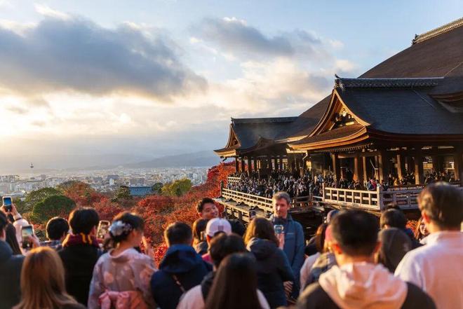 东京跳水所有项目__东京跳水8块金牌