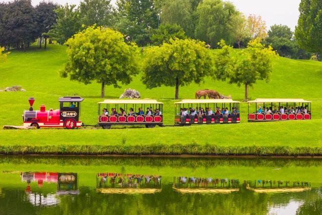 野生动物园协会__野生动物艺术展示攻略