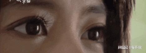 _跃升年度顶流，当年黑红如今封神_跃升年度顶流，当年黑红如今封神