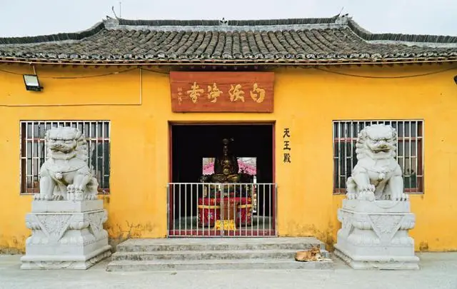 有人说TA是上海最低调的寺庙，就在闵行！丨闵行情