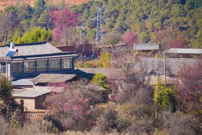 大理田园风光__大理田园综合体