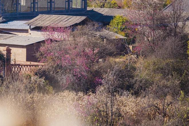 大理田园风光_大理田园综合体_