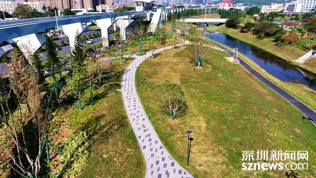 _荒地变“乐园”，坪山再添城市生态绿地_荒地变“乐园”，坪山再添城市生态绿地