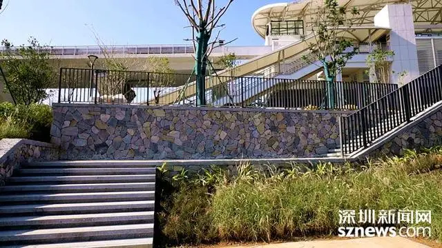 荒地变“乐园”，坪山再添城市生态绿地__荒地变“乐园”，坪山再添城市生态绿地