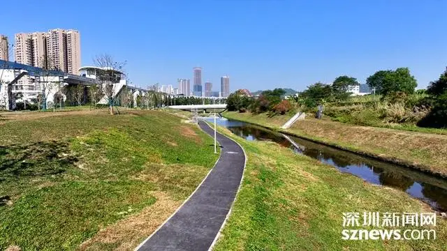 _荒地变“乐园”，坪山再添城市生态绿地_荒地变“乐园”，坪山再添城市生态绿地
