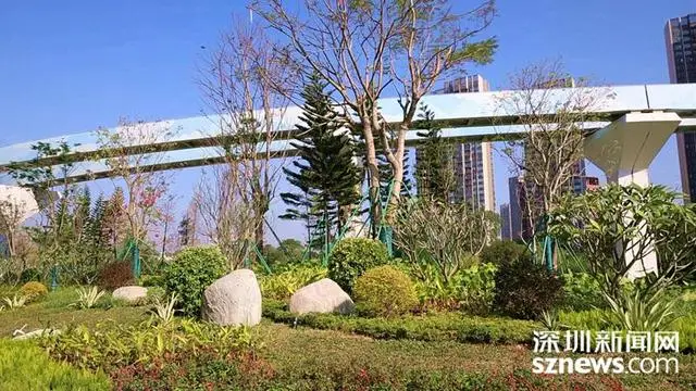荒地变“乐园”，坪山再添城市生态绿地_荒地变“乐园”，坪山再添城市生态绿地_