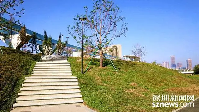 荒地变“乐园”，坪山再添城市生态绿地__荒地变“乐园”，坪山再添城市生态绿地