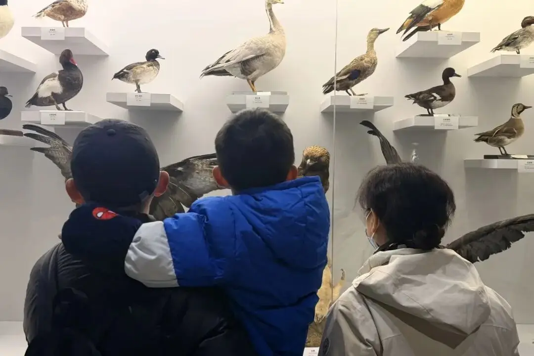 _深圳旅游打卡地_杭州西湖摄影打卡地