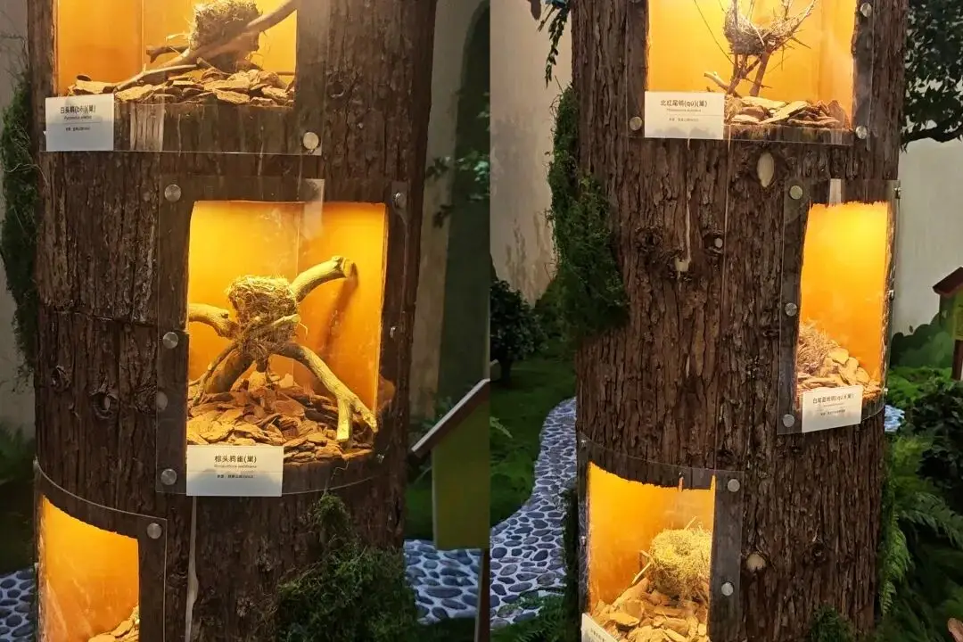 深圳旅游打卡地__杭州西湖摄影打卡地