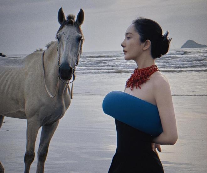 _2012-2025年电视剧网播年冠统计,今年的年冠竟不是《藏海传》_2012-2025年电视剧网播年冠统计,今年的年冠竟不是《藏海传》