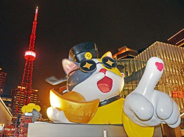 老城厢跨年!常州首个猫主题街区亮相