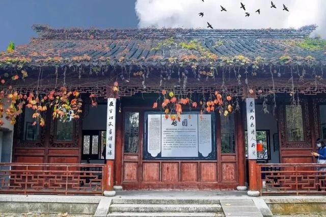 一路饱览太湖东西山两岸绝美景色!太湖新航线元旦启航