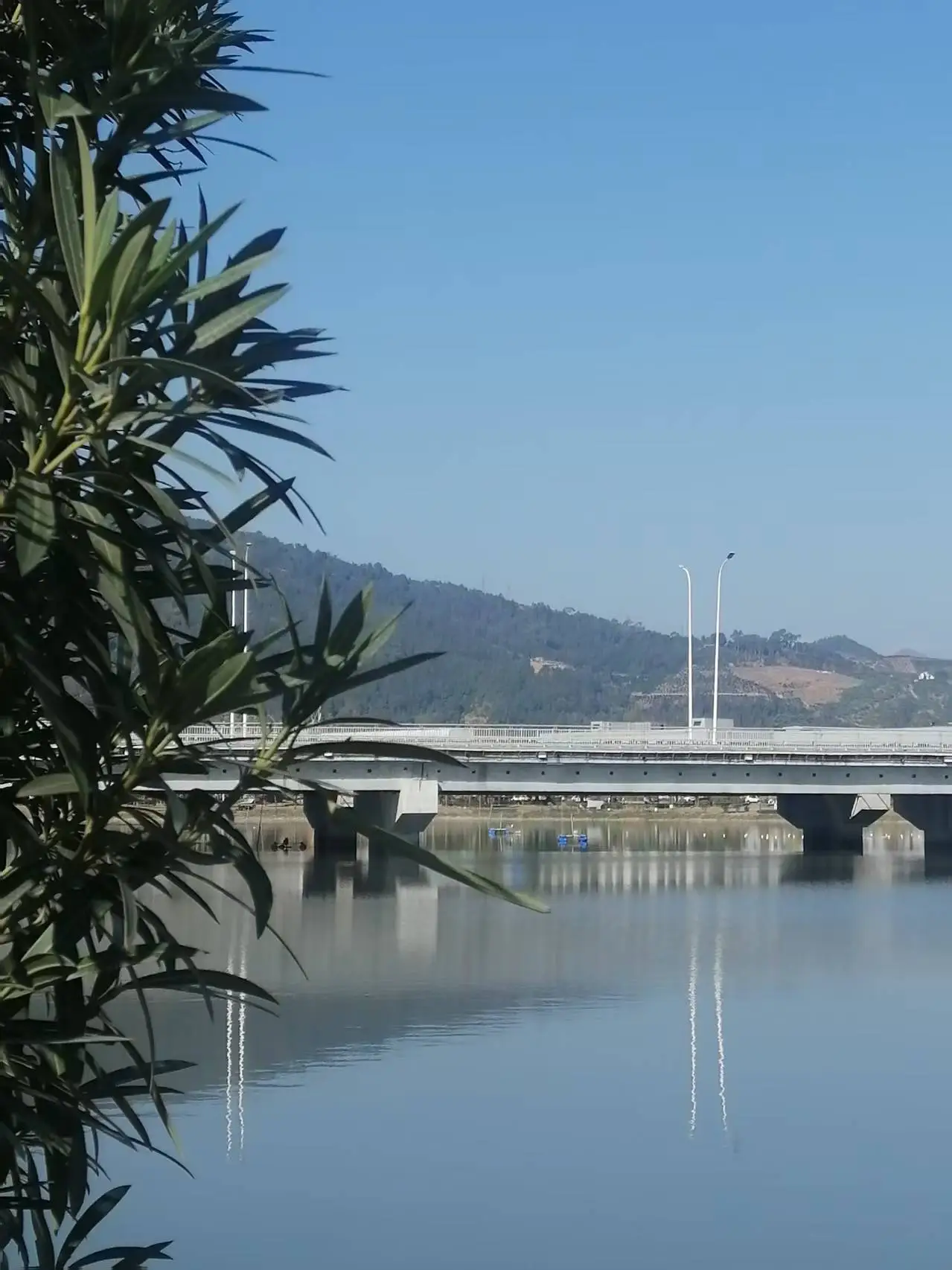 _《七律 宁德三屿湿地公园游趣》及简析_《七律 宁德三屿湿地公园游趣》及简析
