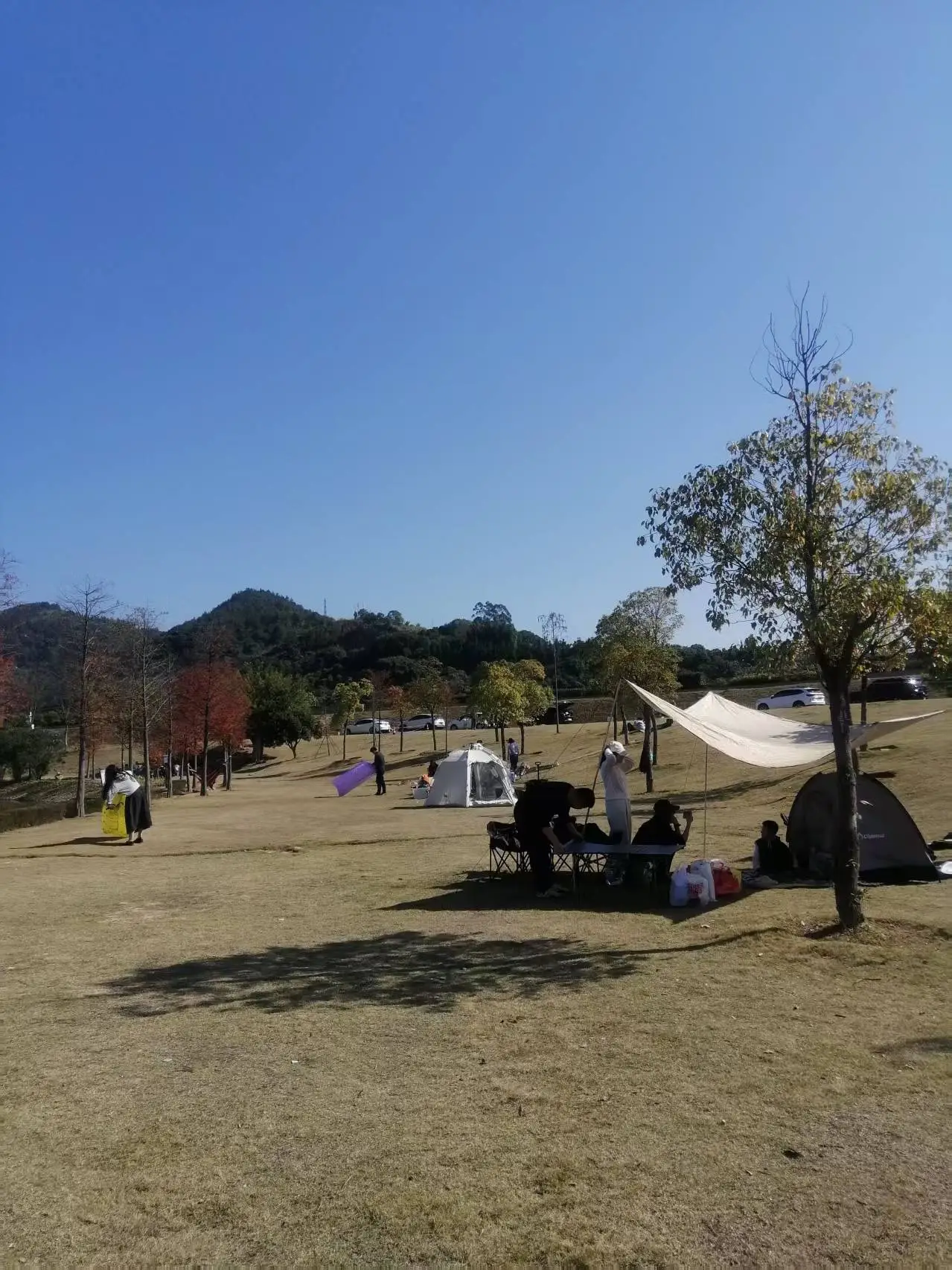 _《七律 宁德三屿湿地公园游趣》及简析_《七律 宁德三屿湿地公园游趣》及简析