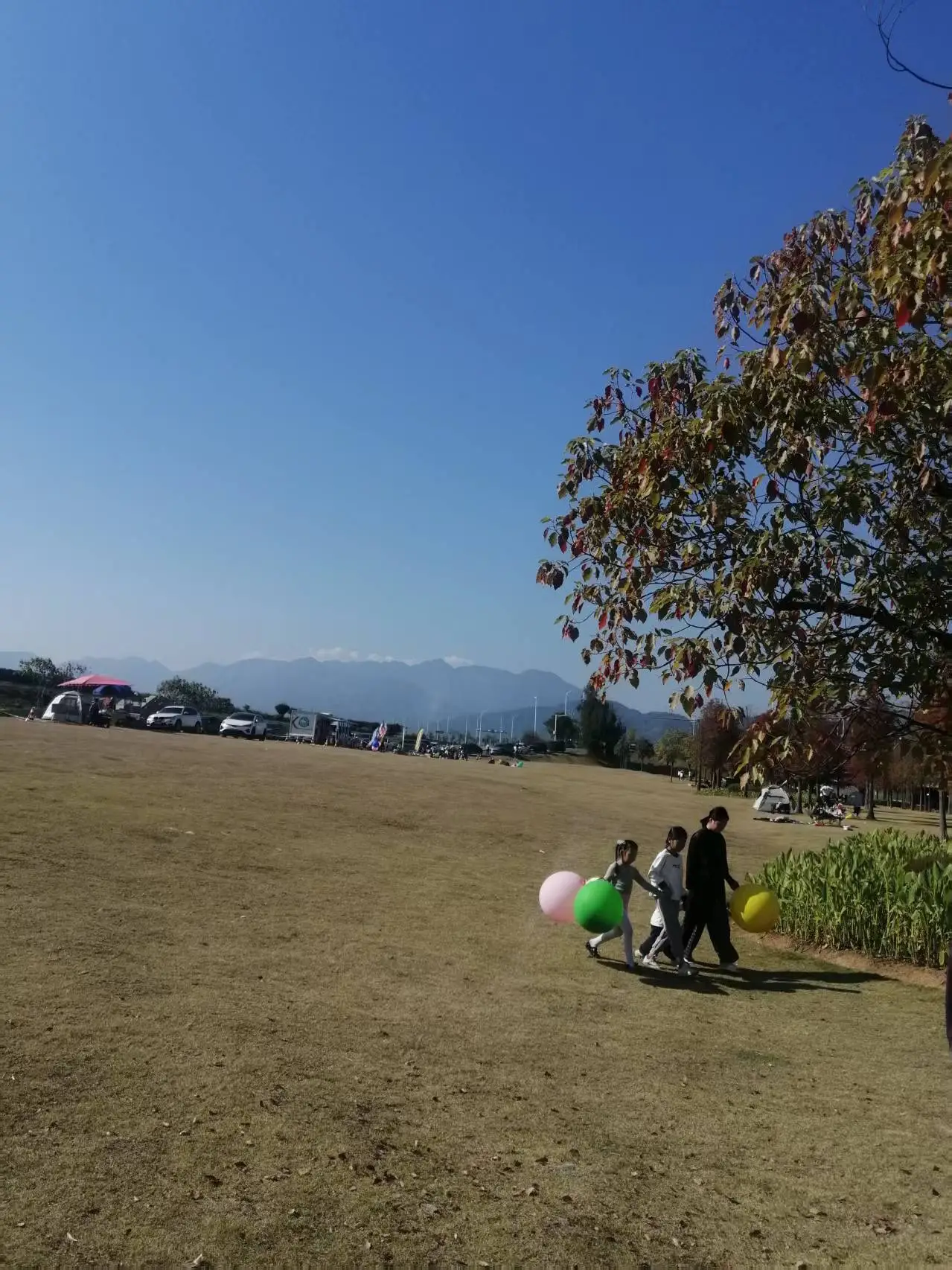 _《七律 宁德三屿湿地公园游趣》及简析_《七律 宁德三屿湿地公园游趣》及简析