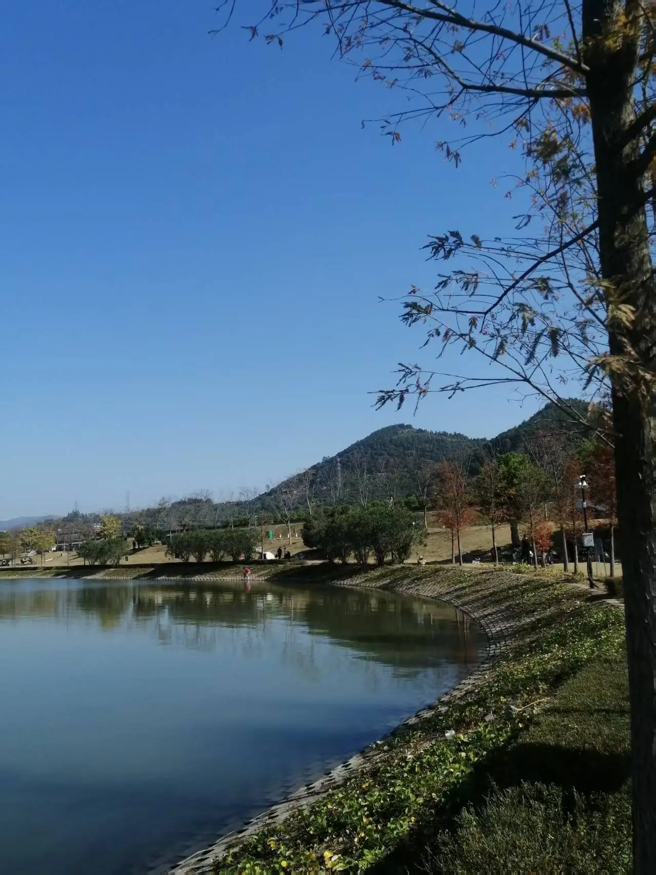 《七律 宁德三屿湿地公园游趣》及简析__《七律 宁德三屿湿地公园游趣》及简析