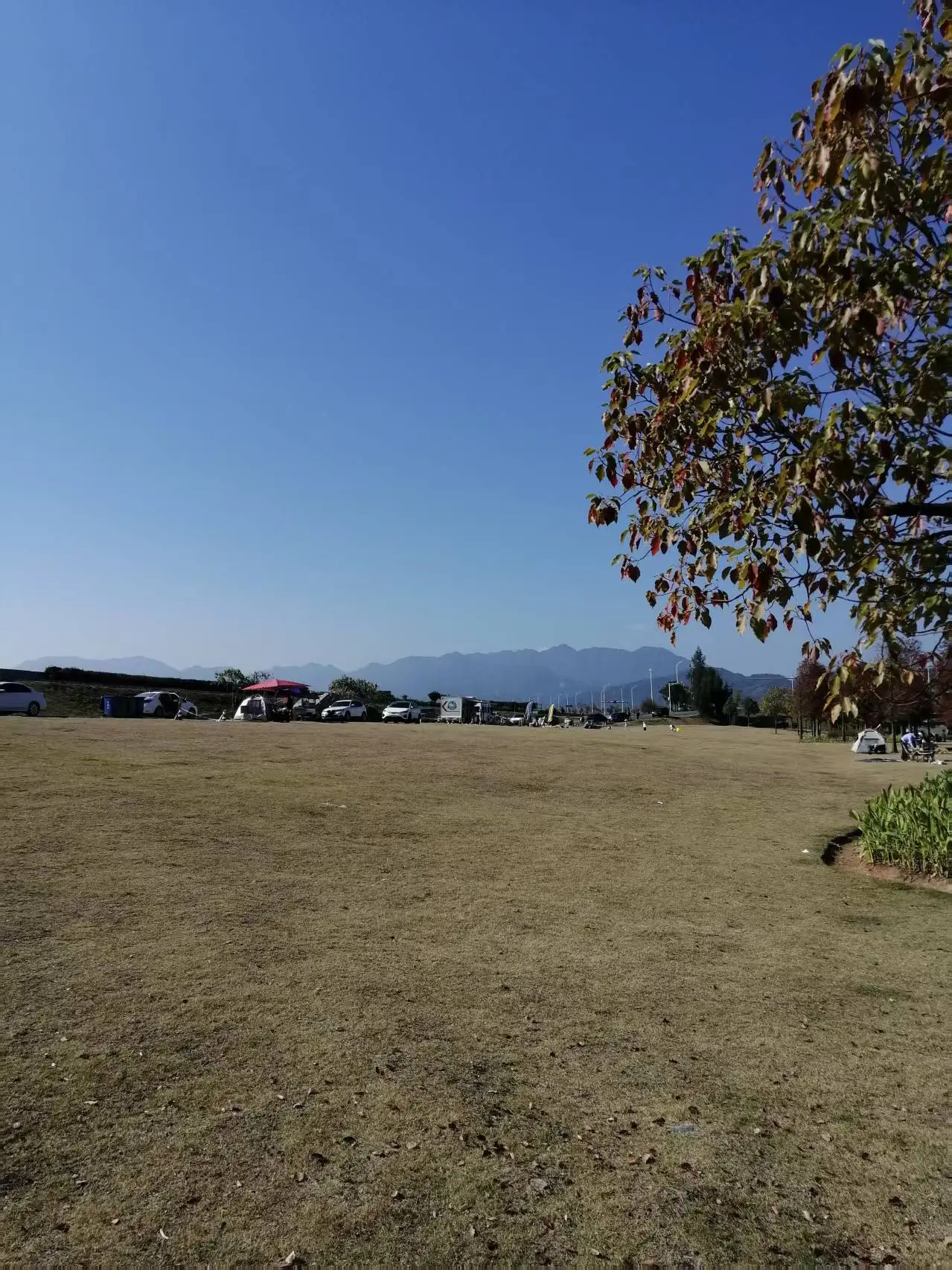 《七律 宁德三屿湿地公园游趣》及简析__《七律 宁德三屿湿地公园游趣》及简析