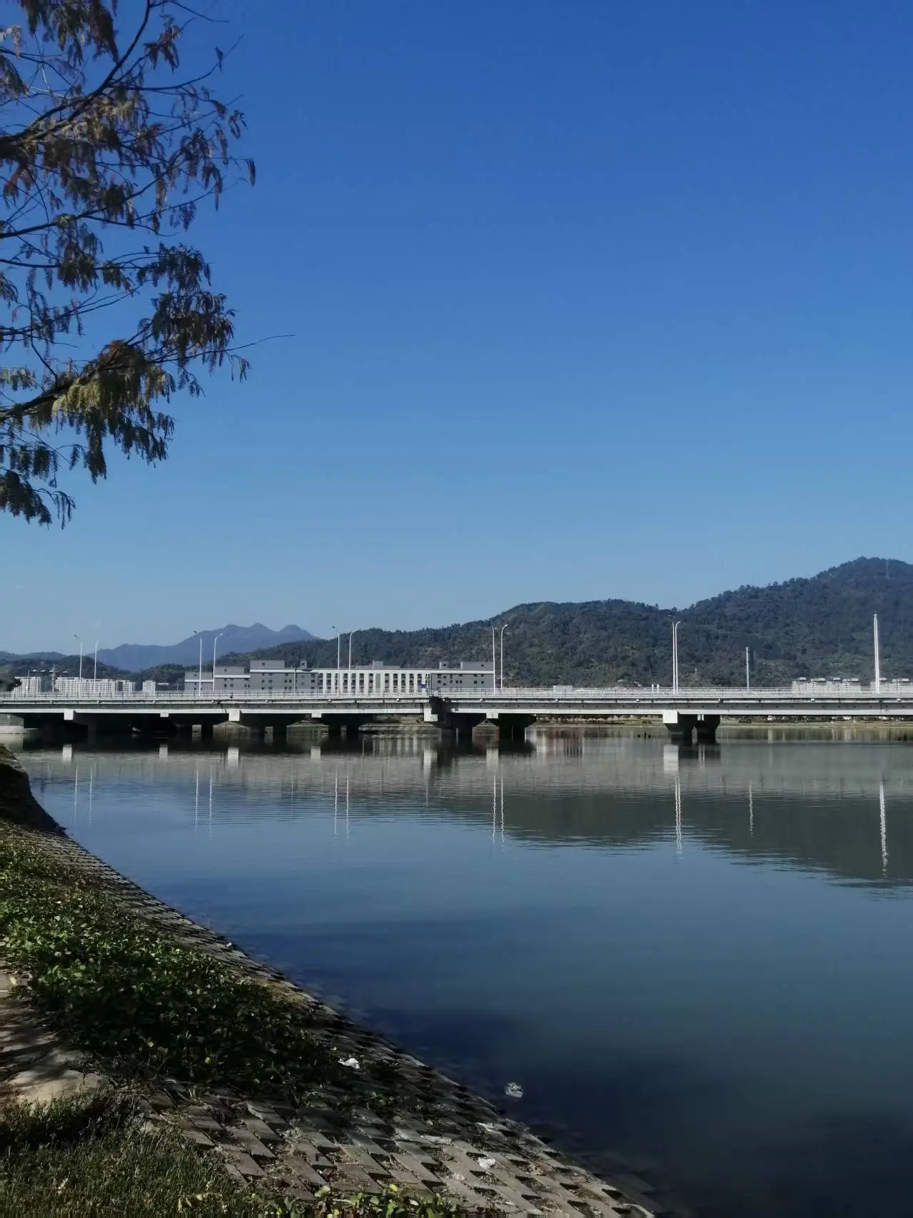 _《七律 宁德三屿湿地公园游趣》及简析_《七律 宁德三屿湿地公园游趣》及简析