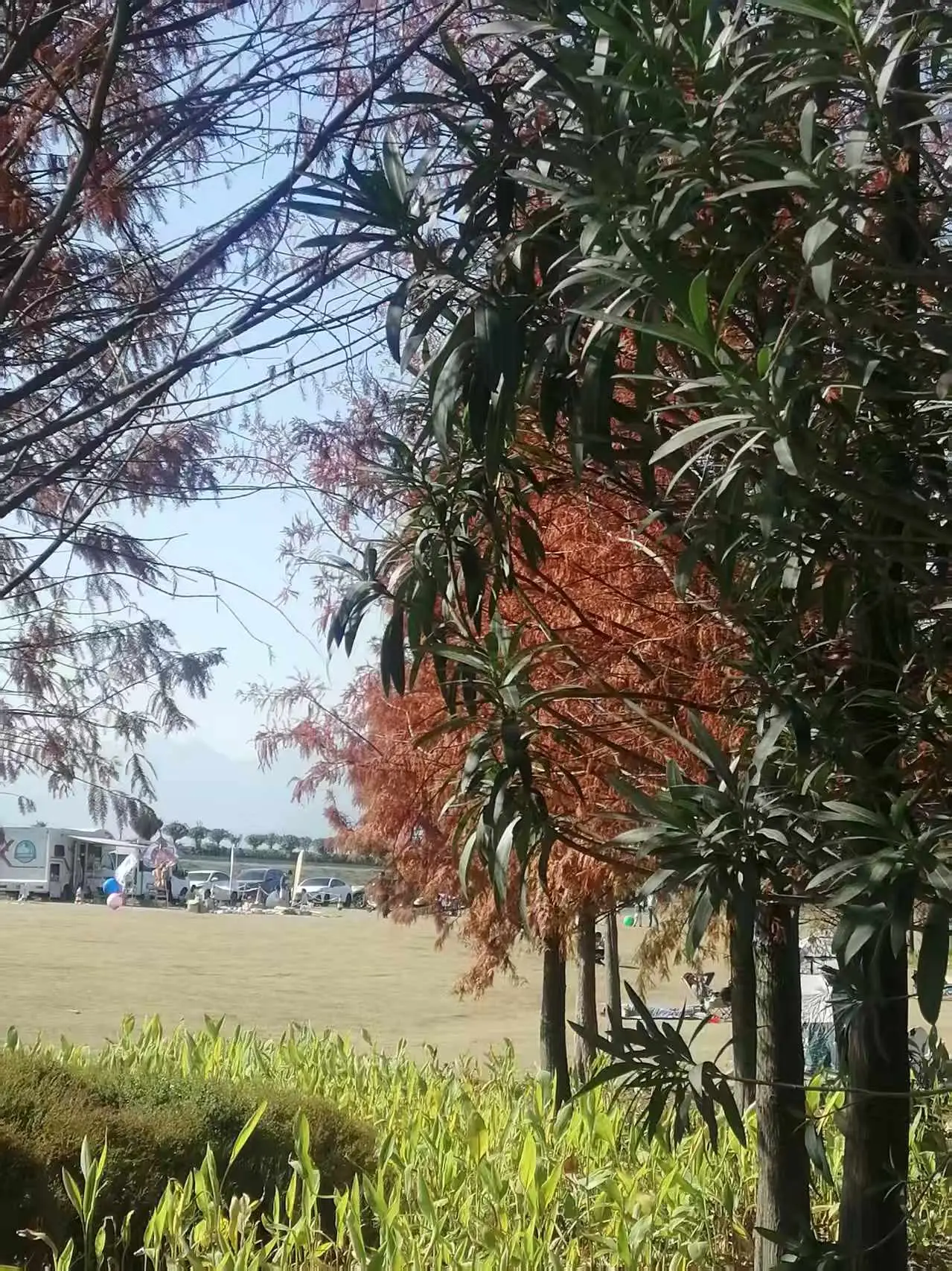 《七律 宁德三屿湿地公园游趣》及简析__《七律 宁德三屿湿地公园游趣》及简析