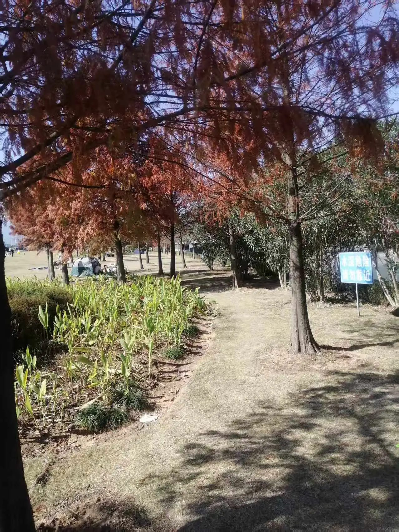 _《七律 宁德三屿湿地公园游趣》及简析_《七律 宁德三屿湿地公园游趣》及简析