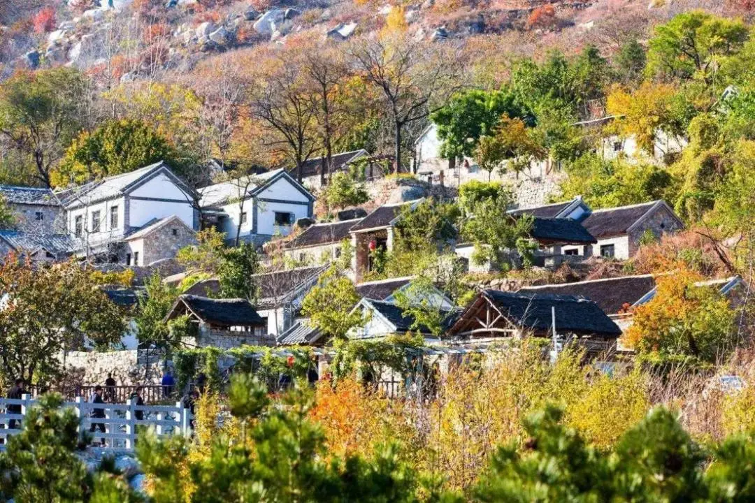 别挤青岛淄博了！山东藏在深山里的小县，才是退休族的养老天花板_别挤青岛淄博了！山东藏在深山里的小县，才是退休族的养老天花板_