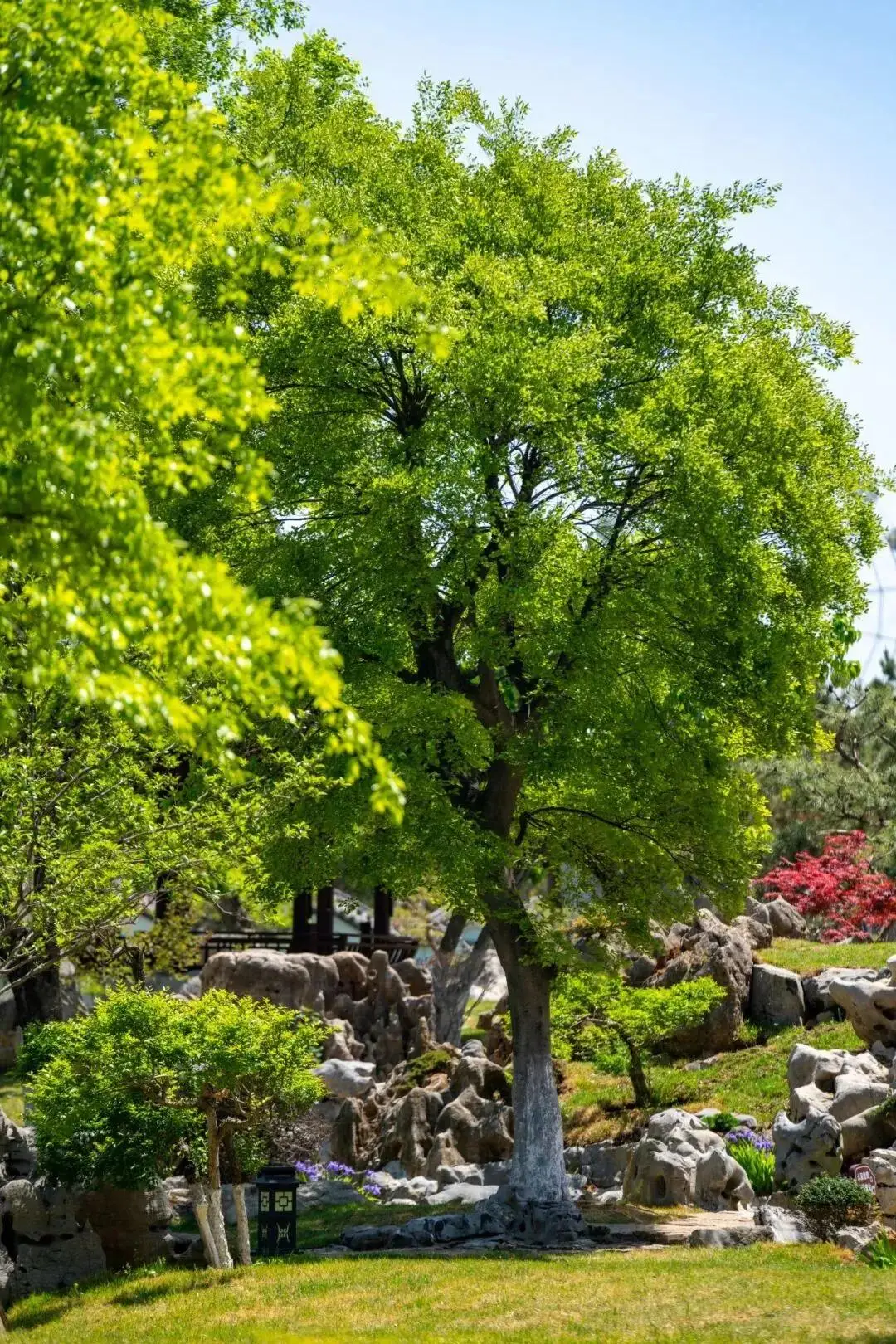 _别挤青岛淄博了！山东藏在深山里的小县，才是退休族的养老天花板_别挤青岛淄博了！山东藏在深山里的小县，才是退休族的养老天花板