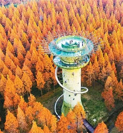 《文旅深度融合“盐城路径”》发布