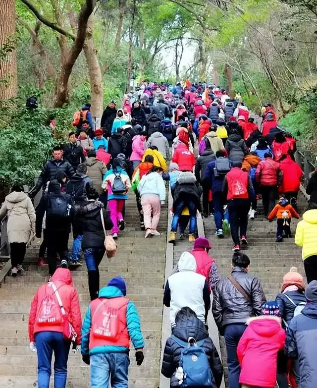 _上海闲话聊体育｜天天向上，上海人额登高情结_上海闲话聊体育｜天天向上，上海人额登高情结