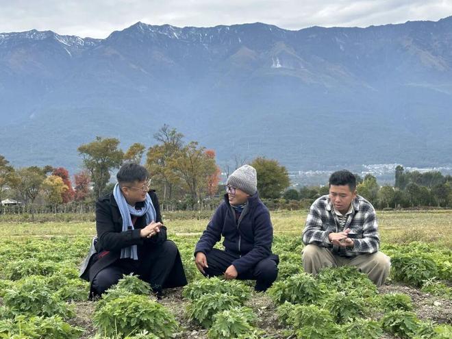 这项世界级荣誉何以是大理？60万人用1天时间回答_这项世界级荣誉何以是大理？60万人用1天时间回答_
