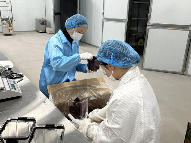 这项世界级荣誉何以是大理？60万人用1天时间回答_这项世界级荣誉何以是大理？60万人用1天时间回答_