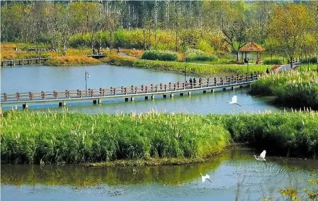 元旦河南哪里好玩__河南元旦旅游适合去哪里