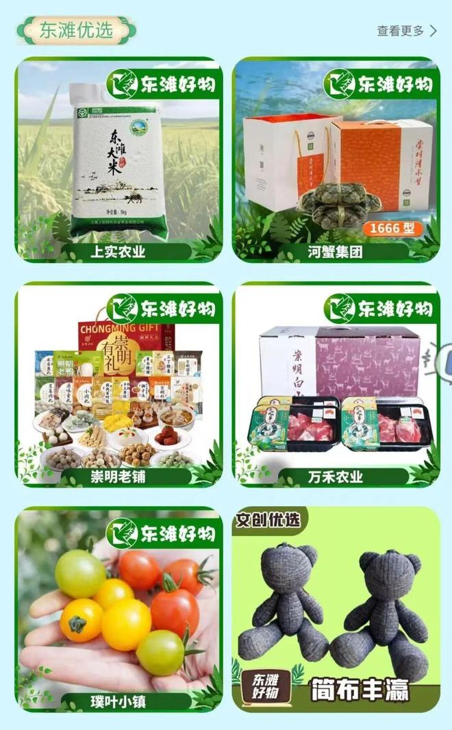 _东滩地图_上海东滩