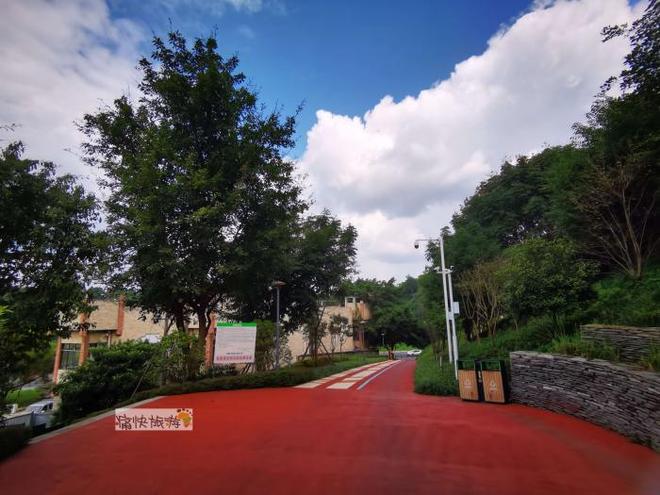 自贡周围__四川自贡天