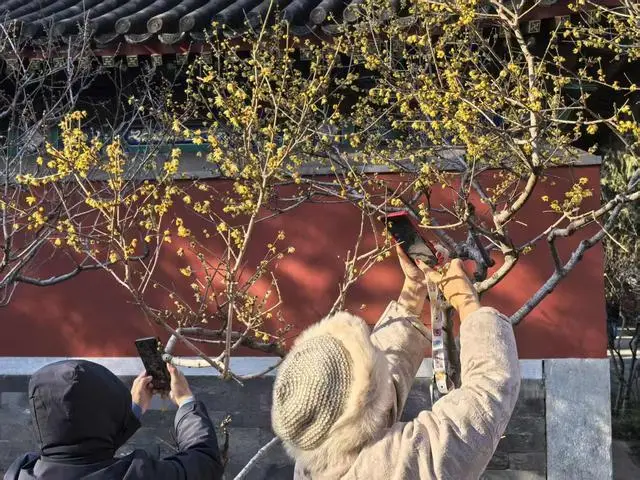 高峰公园好玩吗__高峰公园啥时候开放