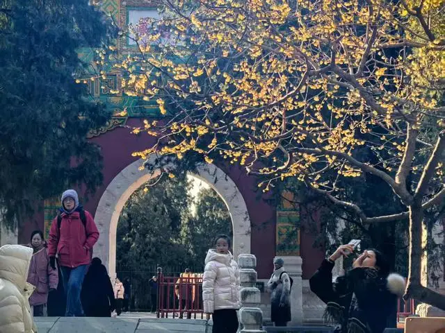 高峰公园好玩吗__高峰公园啥时候开放