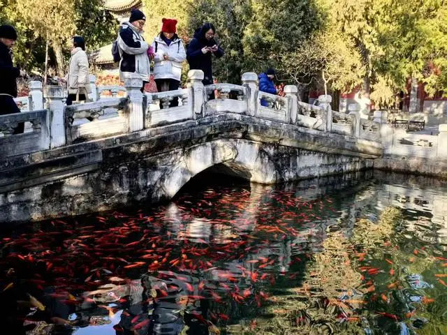 高峰公园啥时候开放_高峰公园好玩吗_