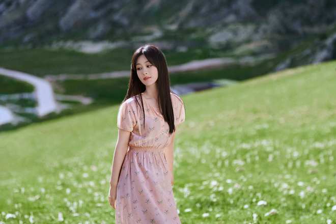 央视杨紫_播杨紫的电视剧_