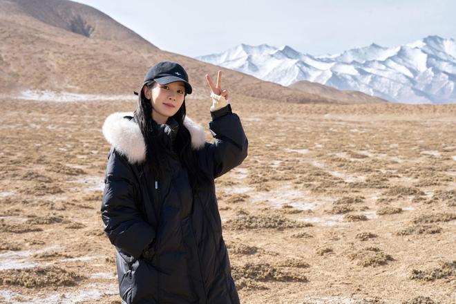 播杨紫的电视剧__央视杨紫