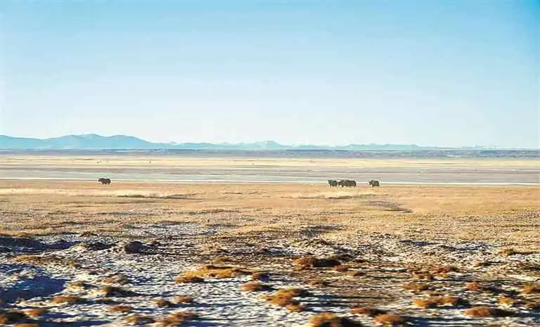 从羌塘到阿尔金山，守护同一片碧水蓝天