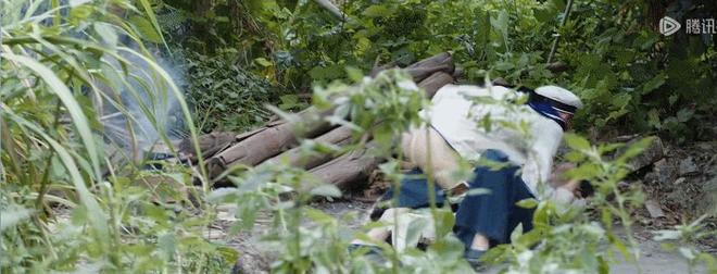 _摇头晃脑中的晃是什么意思_摇头晃脑张兰秦