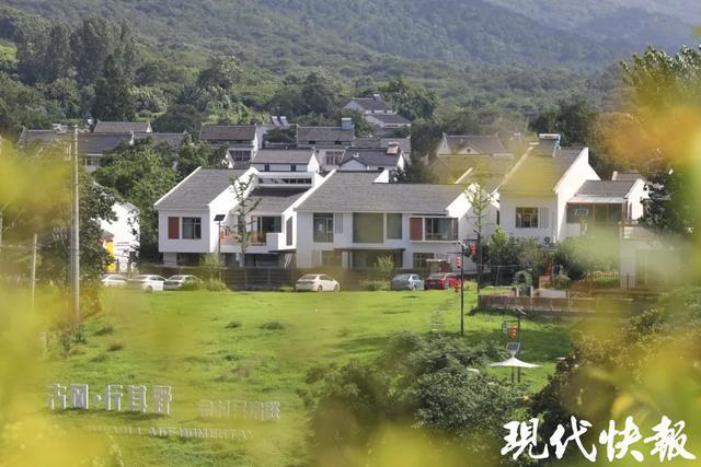 住民宿、品村咖……元旦假期南京江宁乡村游热度高_住民宿、品村咖……元旦假期南京江宁乡村游热度高_
