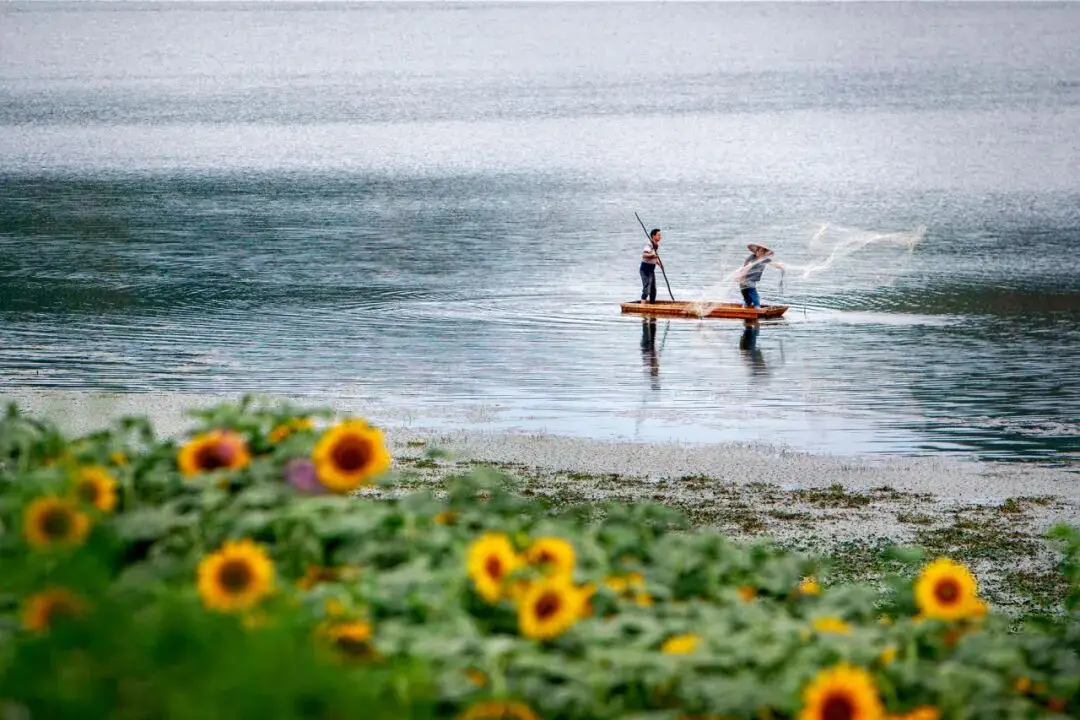 晒太阳散步__太阳出来晒晒