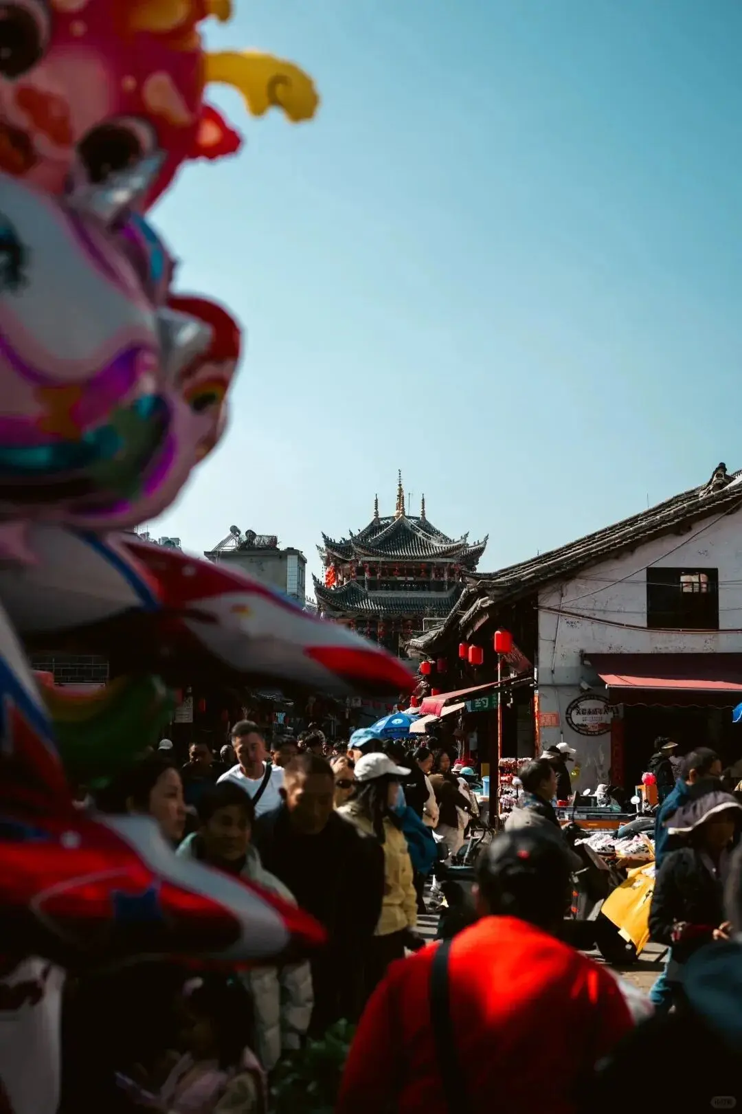 _太阳出来晒晒_晒太阳散步