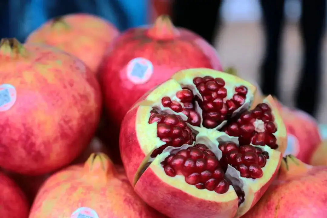 晒太阳散步__太阳出来晒晒