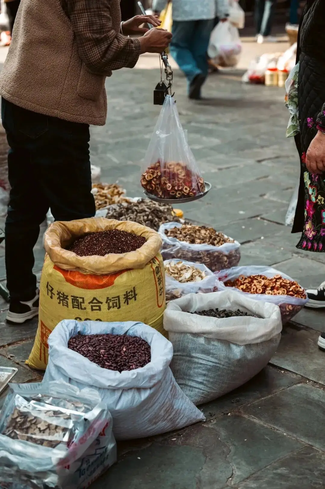 晒太阳散步_太阳出来晒晒_