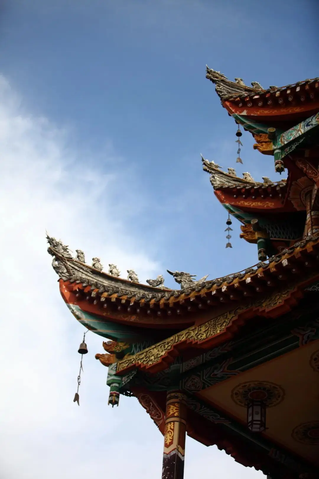 晒太阳散步__太阳出来晒晒