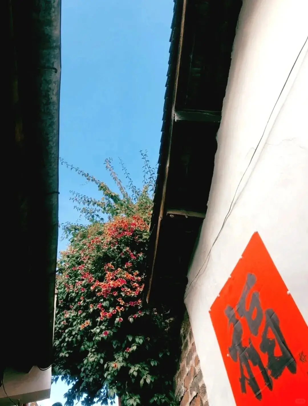 晒太阳散步_太阳出来晒晒_