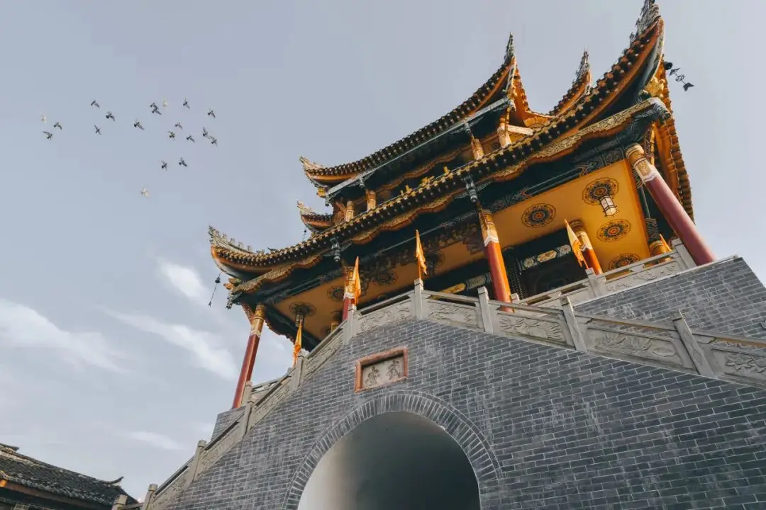 太阳出来晒晒__晒太阳散步