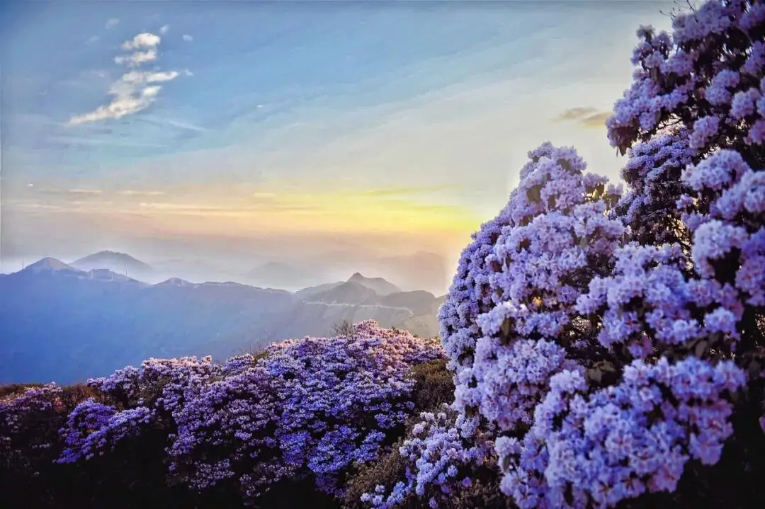 晒太阳散步_太阳出来晒晒_